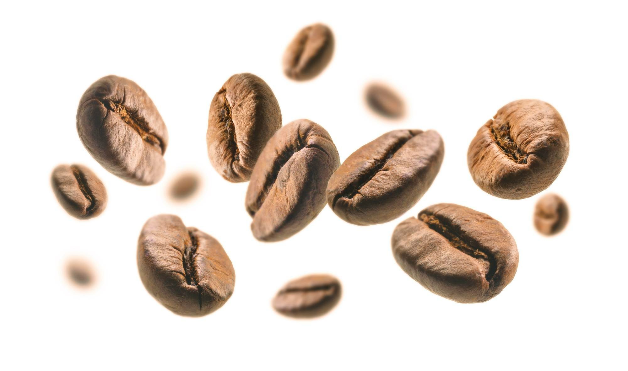 انواع دانه قهوه روبوستا